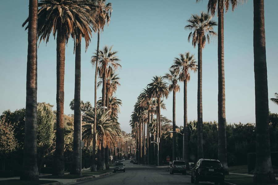 Beverly Hills luxury streetscape with palm trees and shops